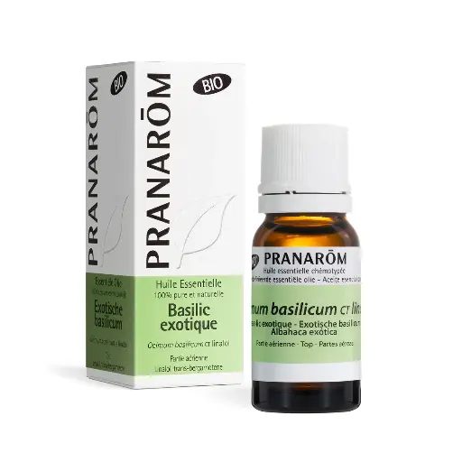 Basilic exotique (10 ml)