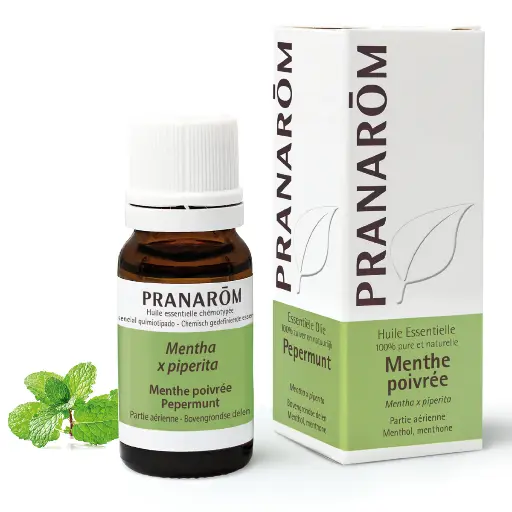 Menthe poivrée (10 ml)